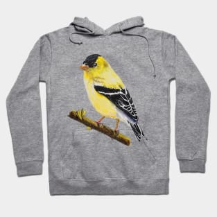 American Goldfinch Drawing (no background) Hoodie